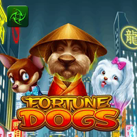 FORTUNE DOGS